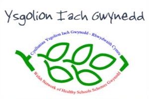 logo ysgolion iach gwynedd